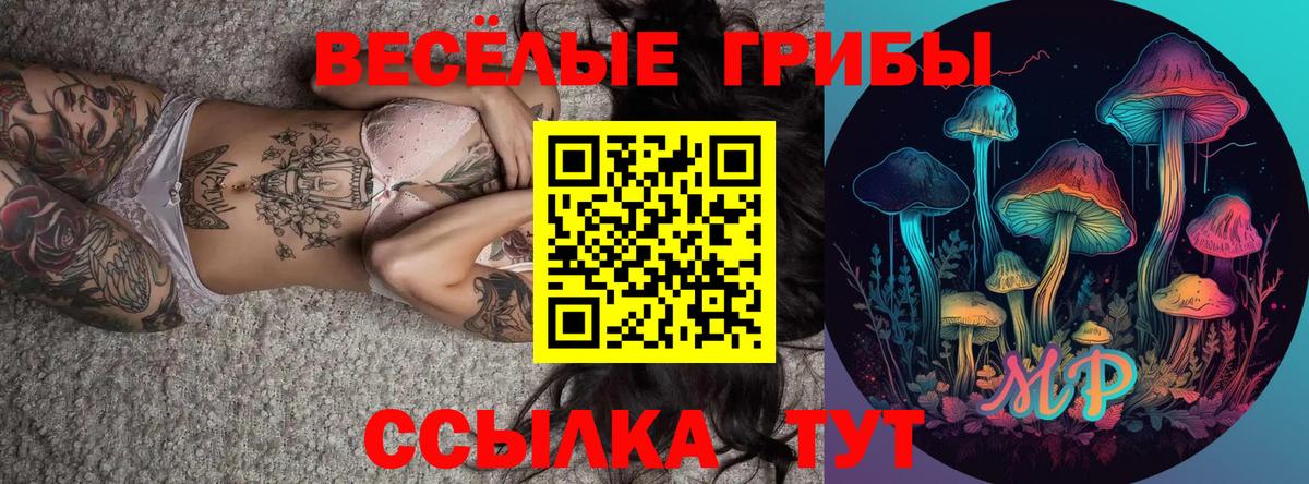 Кумертау  Псилоцибиновые грибы мицелий  Псилоцибиновые грибы Magic Shrooms  цены наркотик  Вход с VPN 